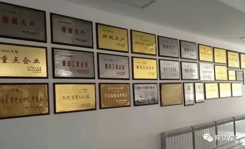 鎂新聞 重慶科技技術(shù)研究院與飛哲工貿(mào)就鎂合金新產(chǎn)品開發(fā)達(dá)成合作意向