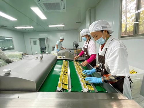 縣區行 以奮斗姿態開創現代化靈秀青陽建設新局面