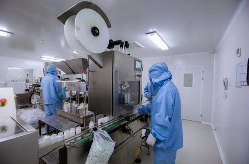 走進 國和堂 透明工廠,解鎖煙臺食品安全密碼