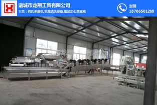 長洲區(qū)清洗機規(guī)格 菠菜清洗機規(guī)格 龍翔工貿機械公司 多圖 高清圖片 高清大圖