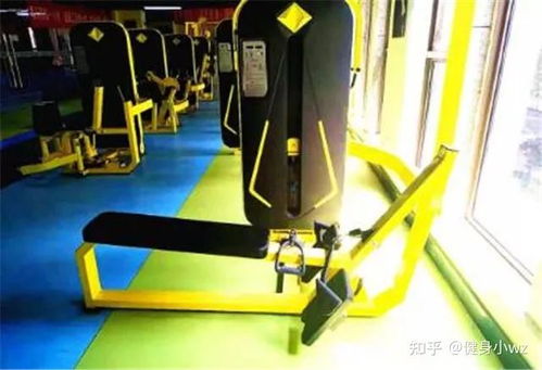 最全健身器材使用方法及鍛煉肌群,快收藏